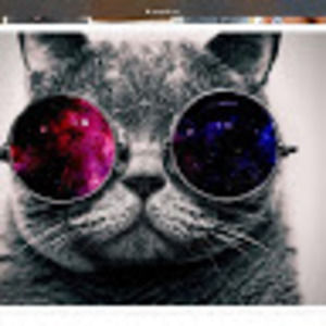 Meet your Posher, Gamer